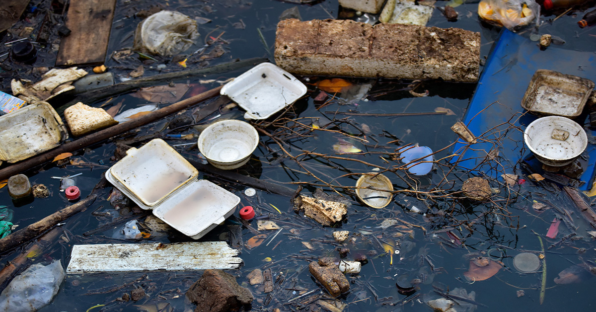What are the Causes of Water Pollution? | ECU Online